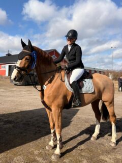 Under helgen hade vi flera ekipage ute på tävlingsbanorna!

@mathildajanss red hem en fin andra plats med sin Je t’aime Balou i 1m 👏🏼
@hedvigbruno och Zorba plockade hem tredjeplatsen i LB:3 🙌🏼

Vi har haft flera hoppekipage ute under helgen, grattis @tilde_tornqvist @clarawistedt och @nova.carling till fina rundor 🫶 

#wenngarnsryttarforening