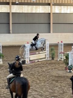 Tävlingshelg!! 🤩

Under helgen var ett av våra hopplag iväg och deltog i en deltävling av Allsvenskan Div. 4 på Södertörns Ryttarcenter! 
Laget bestod av @olivia.magnussoon_ & Amaro, @bianca_dahlsten & Harriet, @bagge_ellen & Arwen samt @nova.carling & Bird of Prey
Bra jobbat tjejer 💪🏼

Även @tilde_tornqvist var ute och hoppade med sin ponny Rocky 🌟

@sofiaandersson93 gjorde ytterligare en start i MSVB:1 med sin häst Antares 🙌🏼

Ni är så bra allihopa 👏🏼

#wenngarnsryttarforening