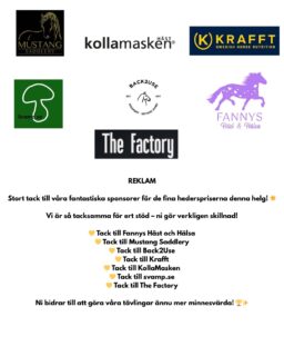 REKLAM

🙏 Tack till våra fantastiska sposorer som lyfter våra tävlingar till en ny nivå med era fantastiska priser.

#sponsring #wenngarnsryttarförening #mustangsaddlery #kollamaskenhäst #kraffthästfoder #svamp.se #back2use #fannyshästochhälsa #thefactory